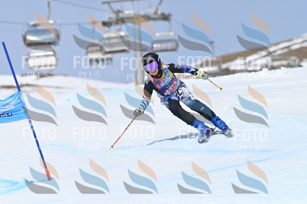 BGV_3562 | holidayphoto