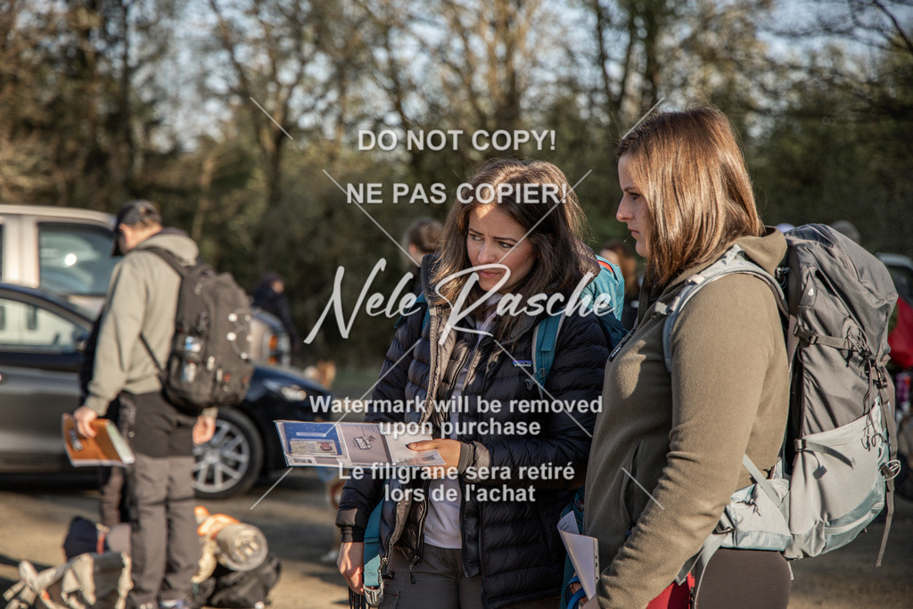 NR__0390-2 | nelerasche