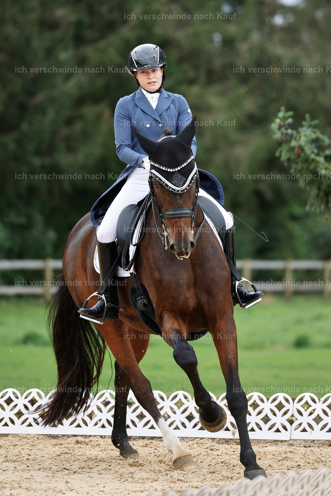 6-200-AMATUER-DRESSUR S_  -StoibPH-3528 | working equitationturnier fotograf videograf stoibphotography marixx film working equitation deutschland reitsport turnierfotografie eventfotografie equestrian events
