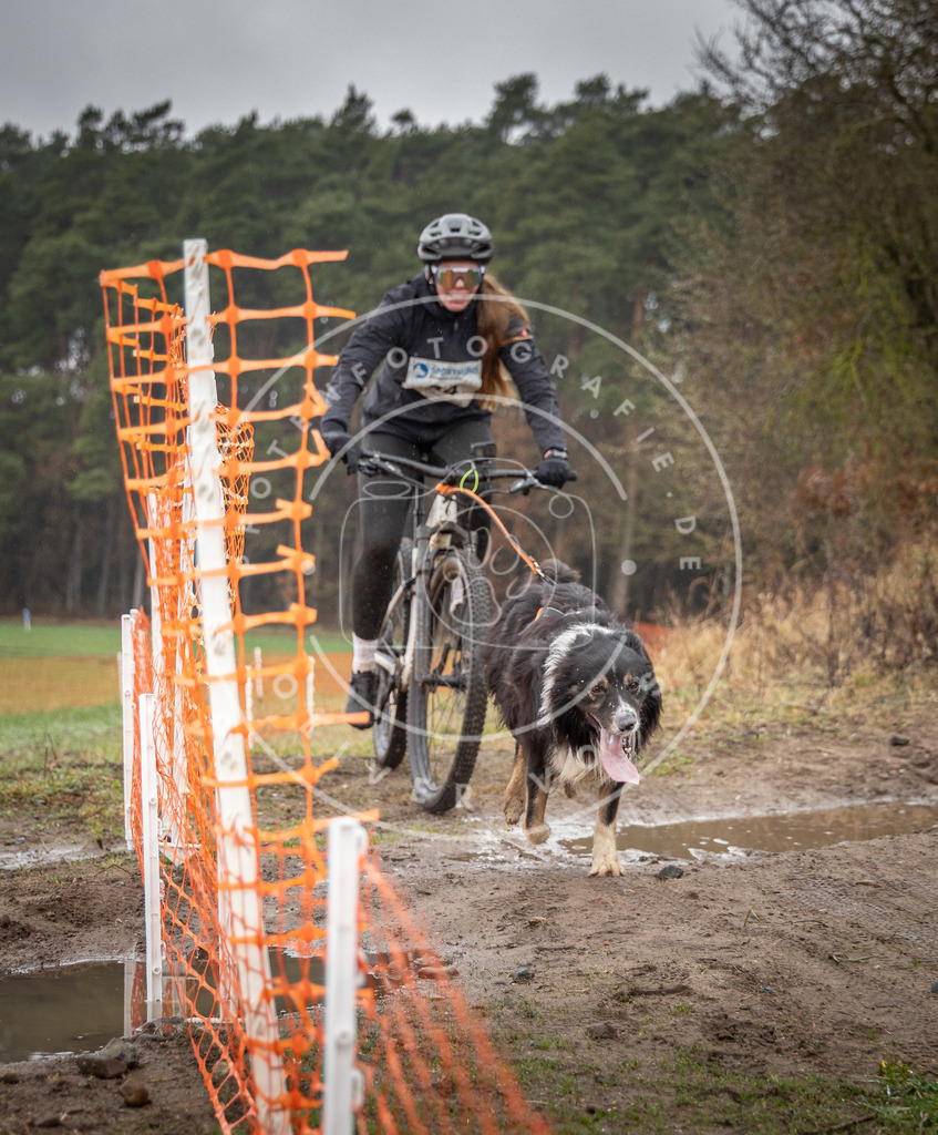 0L8A9019 | Hundefotografie, Tierfotograf, Pfotenfotografie, Fotoshooting Hund, Hunde Portrait, Hundesport, Hundeportraits, Heideshooting, Hunde, Sportfotograf, Hundefotograf, Turnierhundsport, THS,  - Realisiert mit Pictrs.com