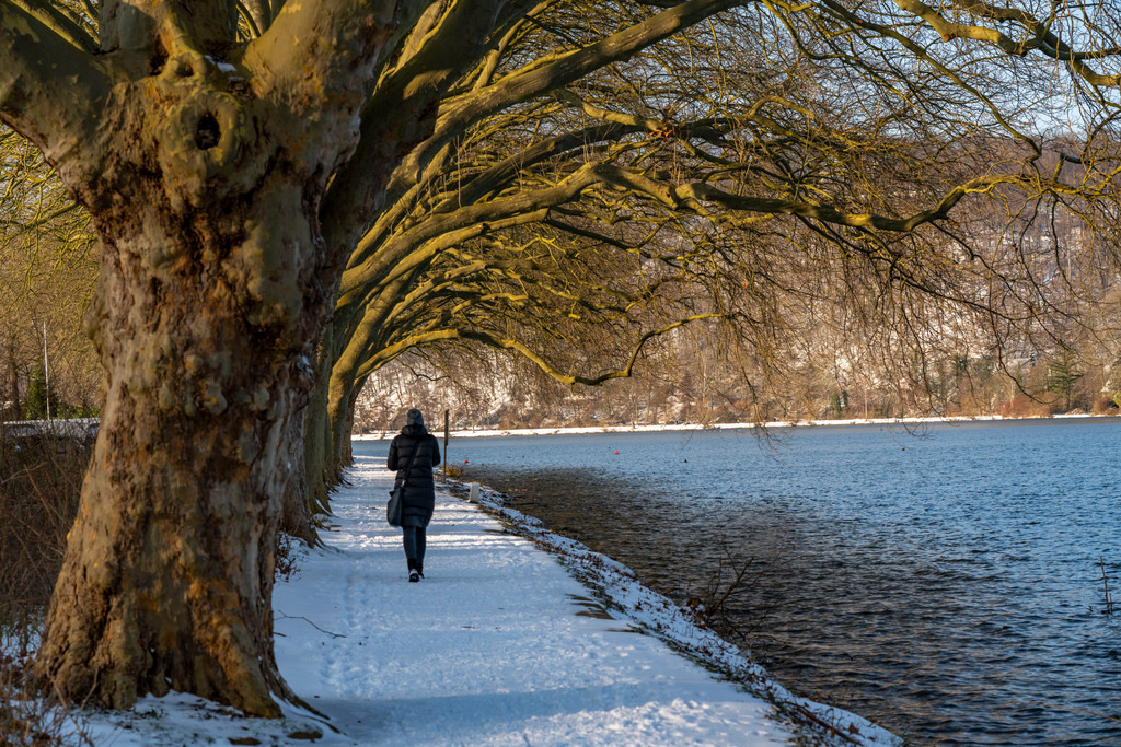 JT-210209 | Winter, verschneite Landschaft, Winterspaziergang am Baldeneysee, Platanen Allee, Uferweg, am Haus Scheppen,  Essen, NRW, Deutschland - Realisiert mit Pictrs.com