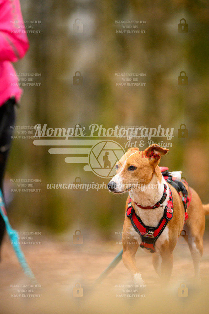 MompixPhotography_Habay2024_SA_Fun-52 | PayLife