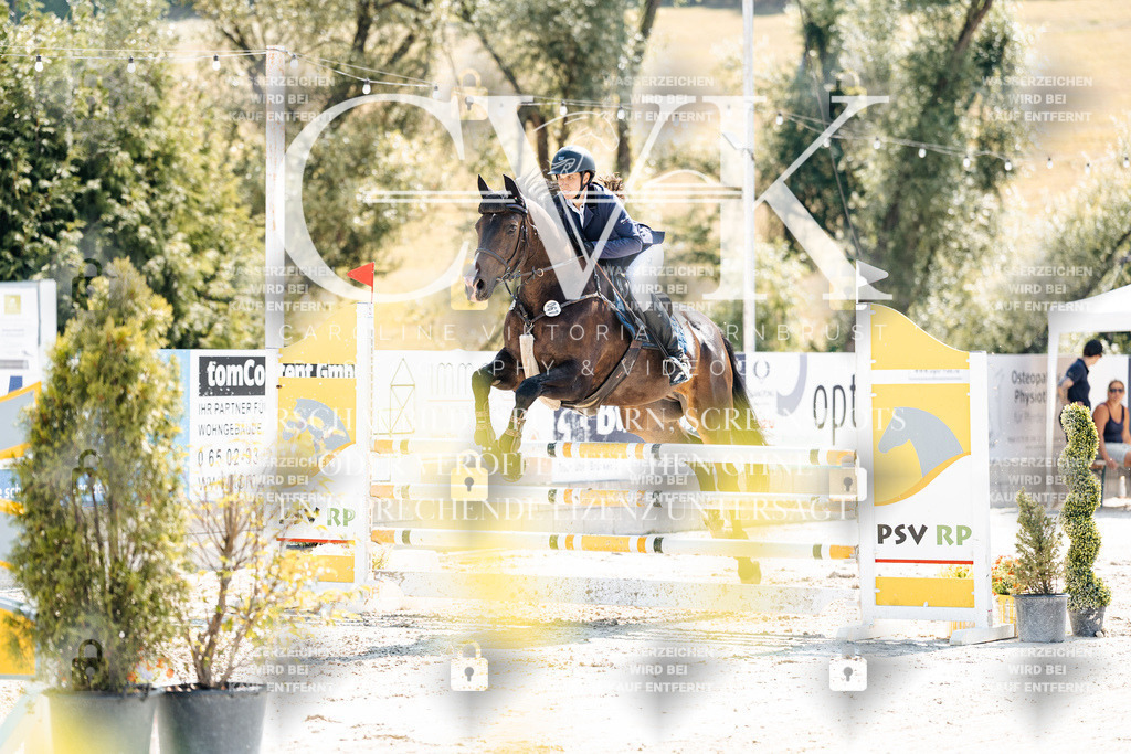 CK908699 | Turnierfotografie Pferdefotografie Trier Rheinland-Pfalz Pferdesport Reitsport Tierfotografie Sportfotografie Pferdevideo Pferdevideografie Equestrianvideography equestrianphotography  - Realisiert mit Pictrs.com