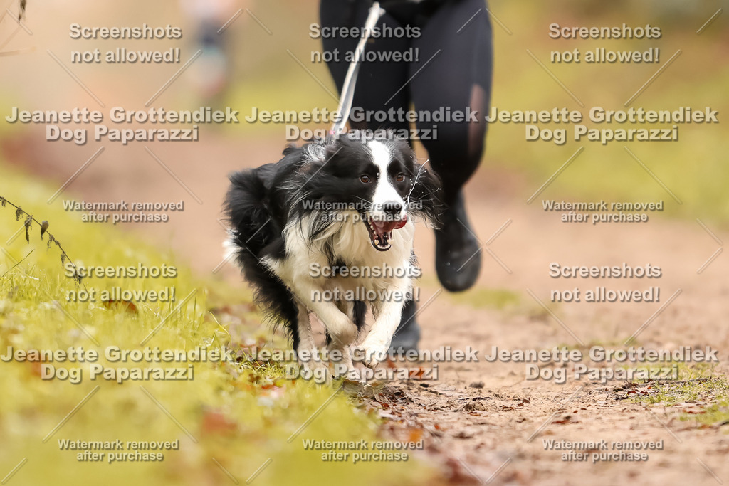 Dog Paparazzi - Speedhunter Mannheim  2025-151 | Dog Paparazzi Jeanette Grottendiek Fotografie & Videografie
