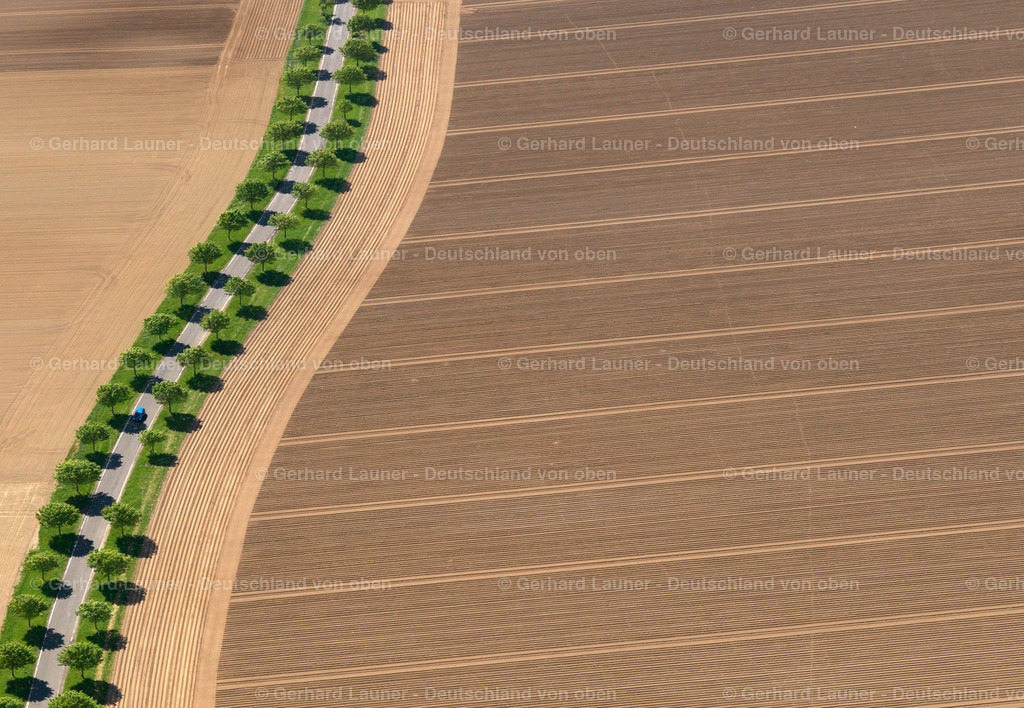 3117172 | Baum-undFeldstrukturen bei Münstermaifeld