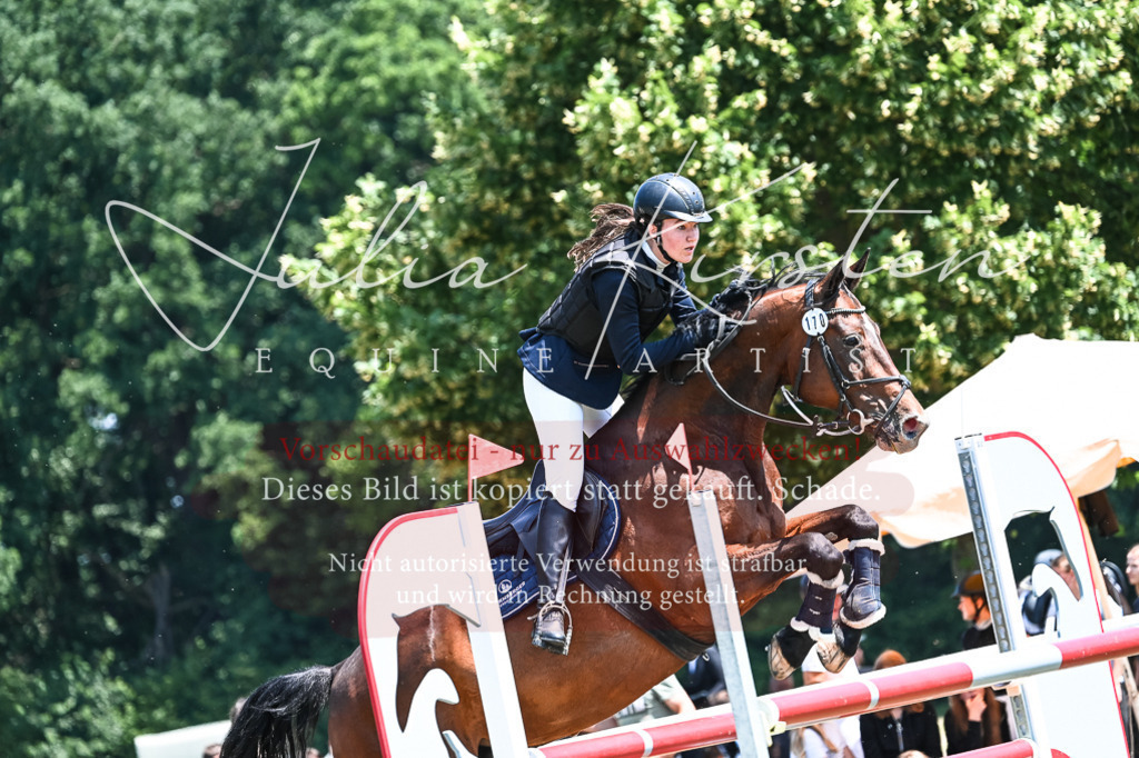 DSC_9966 | Pferde- und Turnierfotografie in Westsachsen. Pferdeportraits, Auftragszeichnungen und intuitive Kunst.