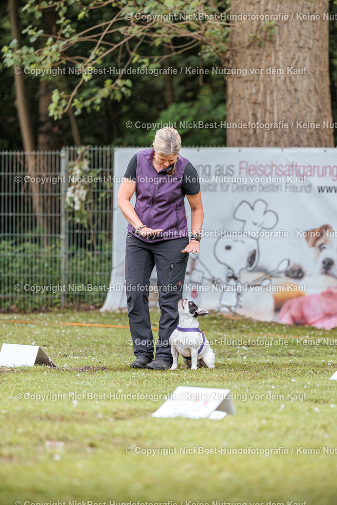 RO-Blumenthal-2026-Nickbest-Hundefotografie-0030 | Dein Hund! Dein Moment! Deine Erinnerungen! Hundefotografie in Bremen Blumenthal. Ich fange die besonderen Momente deines Vierbeiners ein – ob Indoor mit Blitzanlage oder in der freien Natur. Sicher dir dein Moment und dein Termin für eure Erinnerungen.