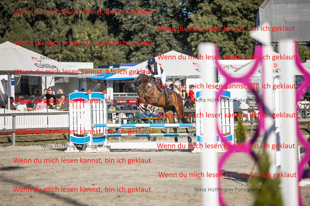 BK1A7795 | Turnierbilder Turnierfotos Nina Hüffmann Turnierfotografie Pferdefotografie Tierzeichnung Haustierzeichnung Pferdezeichnung Hundezeichnung Videograf  - Realisiert mit Pictrs.com