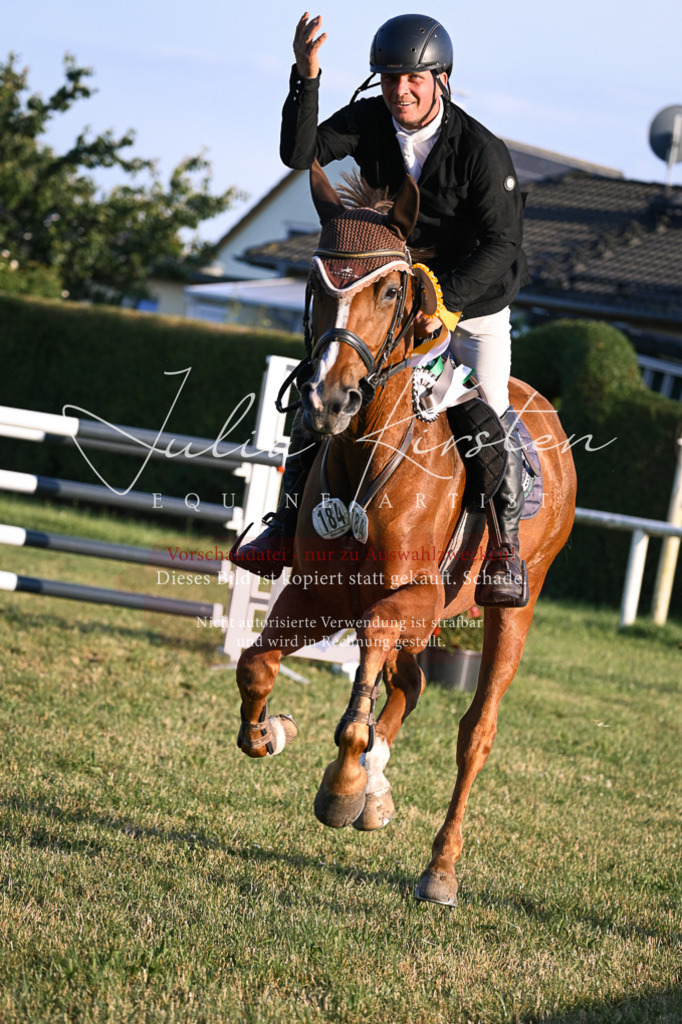 DSC_1983 | Pferde- und Turnierfotografie in Westsachsen. Pferdeportraits, Auftragszeichnungen und intuitive Kunst.