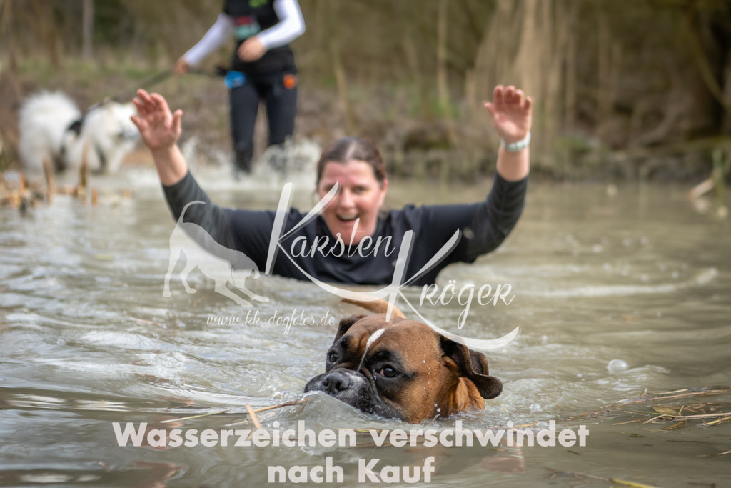1557_ZZ94855 | kk-dogfotos