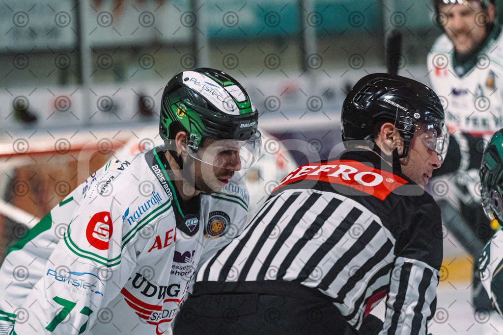 Erding_vs_Alligators_02_01_2026-75 | Höchstadt Alligators Fotogalerie: Eishockey-Action aus Franken. Professionelle Spielfotos, Portraits & Stadionbilder zum Download. Jetzt entdecken! - Realisiert mit Pictrs.com