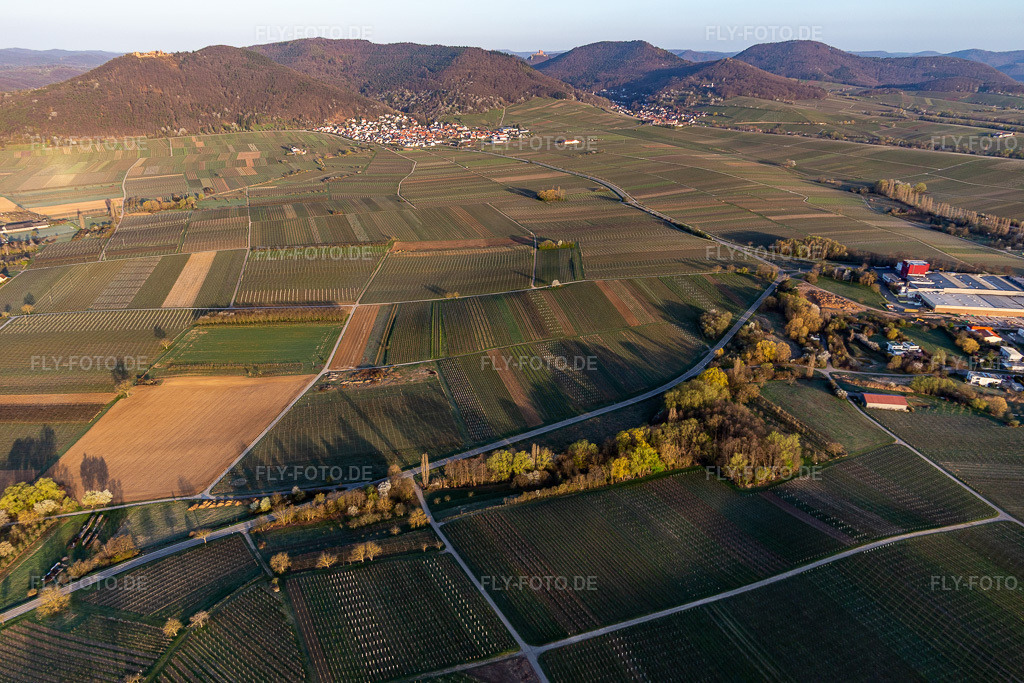 Luftbild: Aalmühl Tal vor Eschbach am Haardtrand in Göcklingen im Bundesland Rheinland-Pfalz in Deutschland. Foto: IMG_126226.jpg vom 04.04.2021 durch Werner Riehm/FLY-FOTO.de