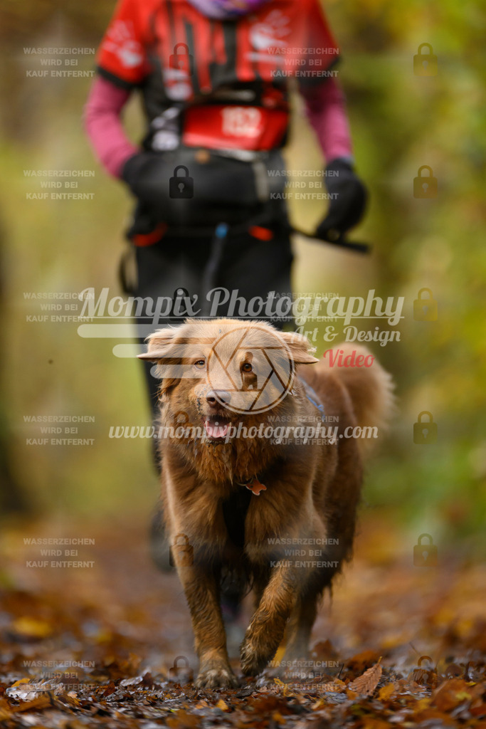 MompixPhotography_CD7S_DI_CCL-193 | mompixphotography