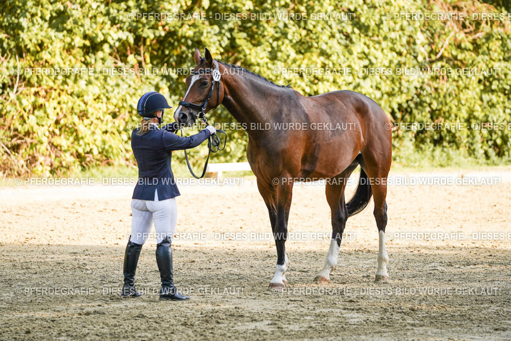 DSC05792 | Pferdegrafie