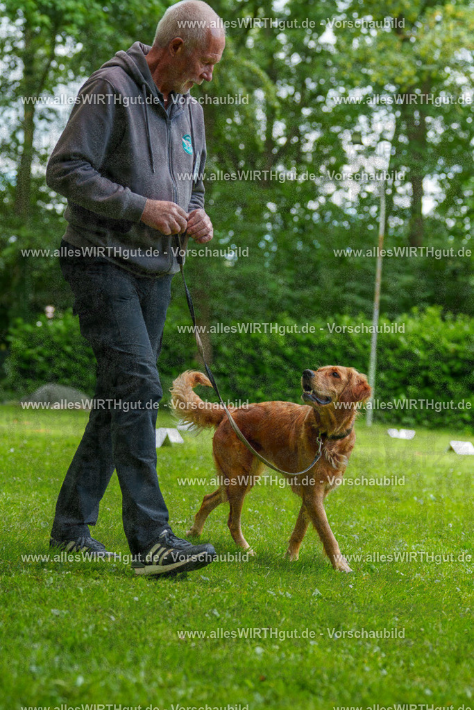 @allesWIRTHgut_Tierfotografie - www.allesWIRTHgut.de - 125700-7R509578 | Professionelle Tierfotografie in Mönchengladbach von Daniel Wirth (allesWIRTHgut). Liebevolle & natürliche Bilder von Hunden & Katzen für unvergessliche Erinnerungen.