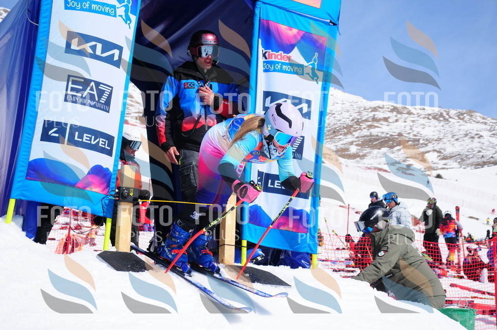 DSC_5588 | holidayphoto