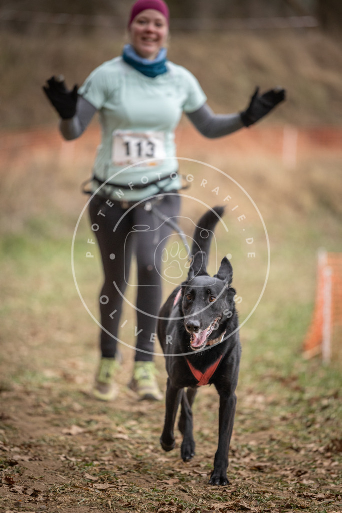 Pfotenfotografie_DV3A7571 | Hundefotografie, Tierfotograf, Pfotenfotografie, Fotoshooting Hund, Hunde Portrait, Hundesport, Hundeportraits, Heideshooting, Hunde, Sportfotograf, Hundefotograf, Turnierhundsport, THS,  - Realisiert mit Pictrs.com
