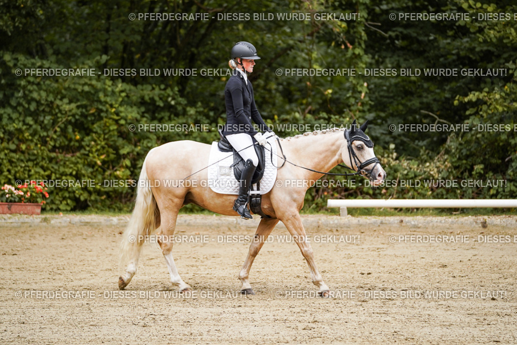 DSC08742 | Pferdegrafie