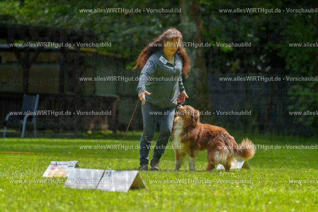 @allesWIRTHgut_Tierfotografie - www.allesWIRTHgut.de - 7R500842 | Professionelle Tierfotografie in Mönchengladbach von Daniel Wirth (allesWIRTHgut). Liebevolle & natürliche Bilder von Hunden & Katzen für unvergessliche Erinnerungen.