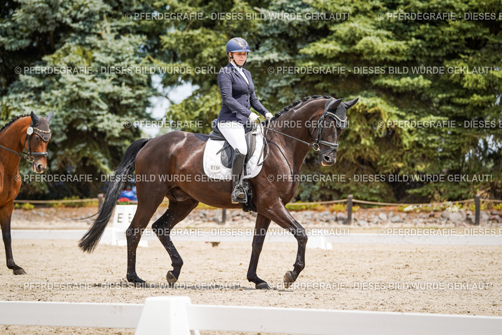 DSC03458 | Pferdegrafie