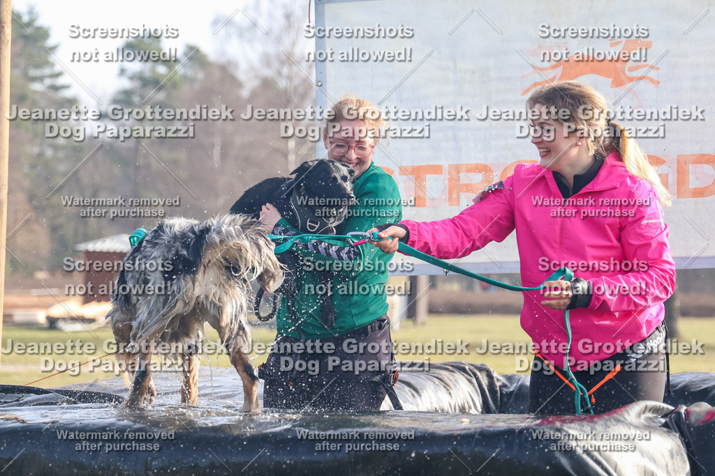 Dog Paparazzi - Strongdog North Mrz26-356 | Dog Paparazzi Jeanette Grottendiek Fotografie & Videografie - Realisiert mit Pictrs.com