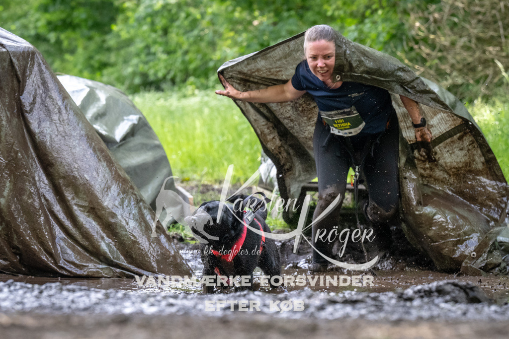 1241_ZZ93134 | kk-dogfotos