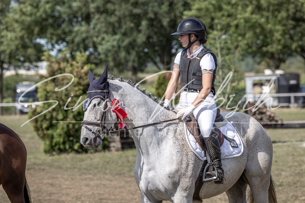 20250907-_3LI0330 | Tierfotografie Pferde, Hunde, Katzen, Haustiere.
Turnierfotografie Reitturniere, Reiten, Springreiten, Dressur in Hanau, dem Main-Kinzig-Kreis und dem Rhein-Main- Gebiet um Frankfurt
