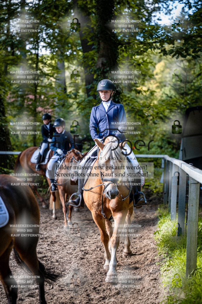 2026-10-Helle-20-4-0070 | Entdecke hochwertige Reitturnierfotos von Foto Oger. Professionell, emotional und authentisch – jetzt Lieblingsmomente im Shop bestellen.Deutschlandweite Turnierfotografie. - Realisiert mit Pictrs.com