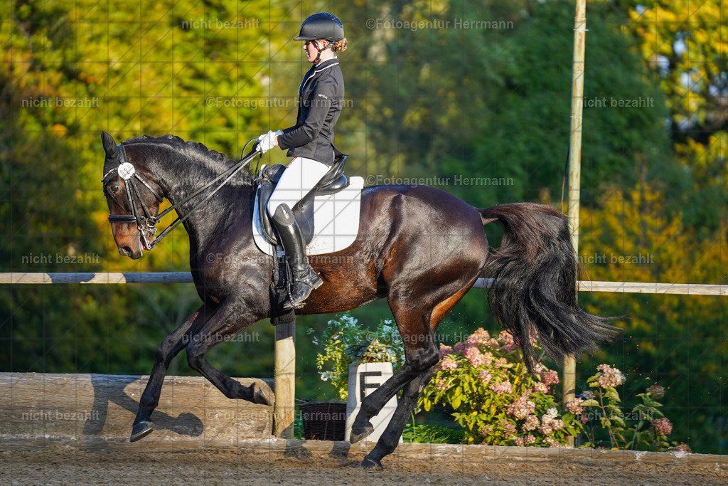 20221007-FAH00444 | Diessen am Ammersee, 2022, Dressur- und Springturnier, Reitsportbilder, Turnierfotografen Bayern, Pferdefotografen, Fotoagentur Herrmann, Turnierbilder