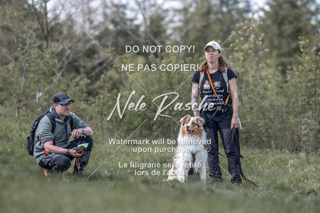6Z1A1010 | nelerasche