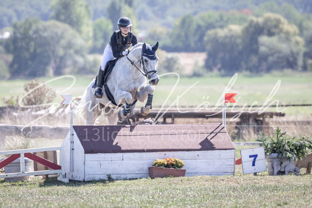 20260906-_3LI4325 | Tierfotografie Pferde, Hunde, Katzen, Haustiere.
Turnierfotografie Reitturniere, Reiten, Springreiten, Dressur in Hanau, dem Main-Kinzig-Kreis und dem Rhein-Main- Gebiet um Frankfurt