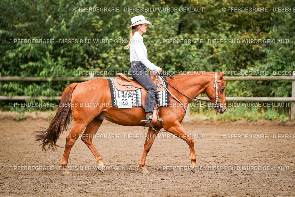 DSC06655 | Pferdegrafie