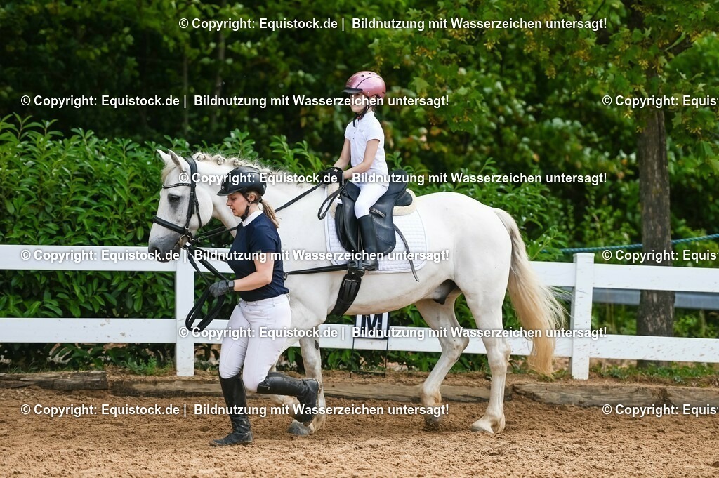 20230716_11_Führzügel-WB_0156 | equistock