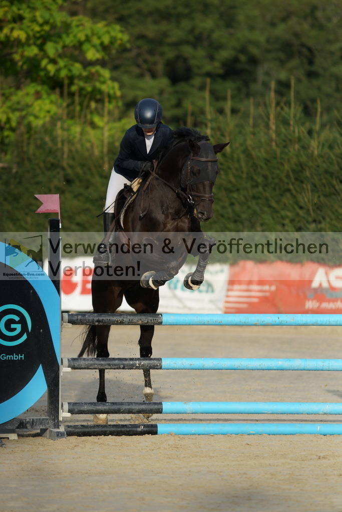 DSC02581 | equestrian-live-com