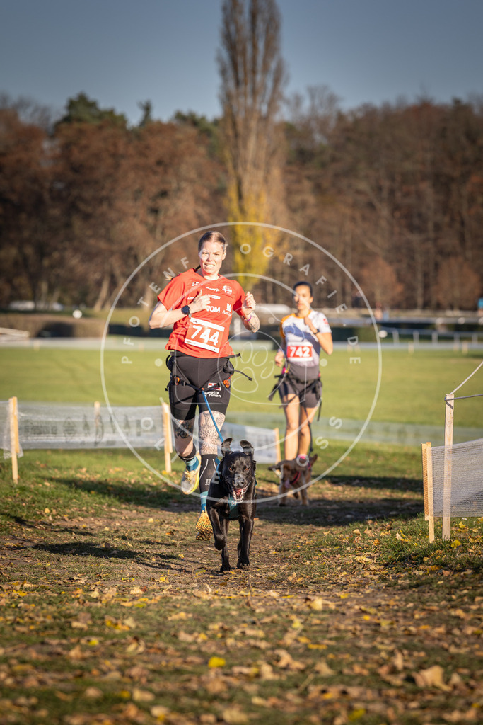 CaniXpix_DV3A2265 | Hundefotografie, Tierfotograf, Pfotenfotografie, Fotoshooting Hund, Hunde Portrait, Hundesport, Hundeportraits, Heideshooting, Hunde, Sportfotograf, Hundefotograf, Turnierhundsport, THS,  - Realisiert mit Pictrs.com