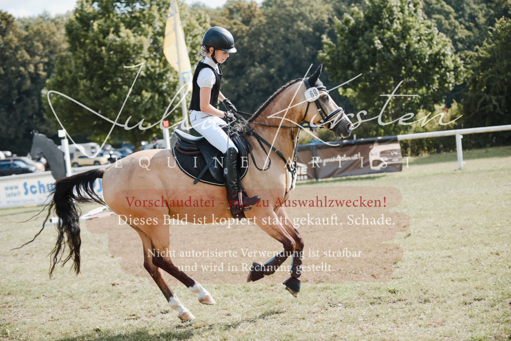 DSC_5315 | Pferde- und Turnierfotografie in Westsachsen. Pferdeportraits, Auftragszeichnungen und intuitive Kunst.