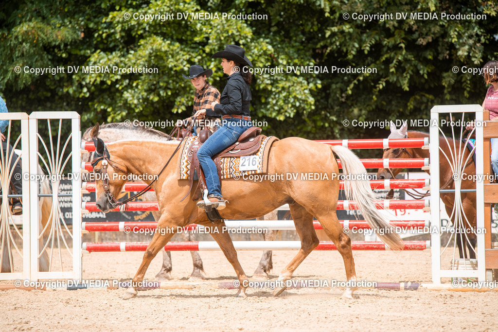 EWP_6343 | dv-media-shop - Realisiert mit Pictrs.com