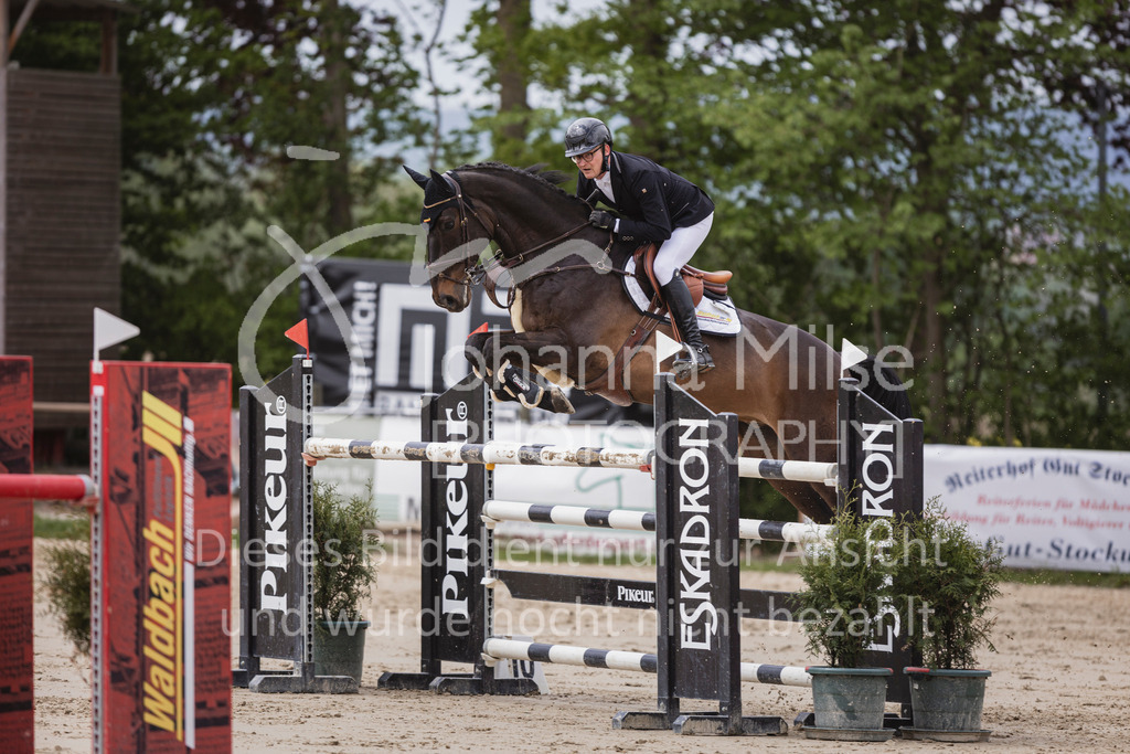 250504_SpengeW_M2-Spr-424 | Deine schönsten Turniermomente als professionelle Fotos! Entdecke hochwertige Pferdesport-Fotografie im Online-Shop. Jetzt Fotos finden & bestellen!