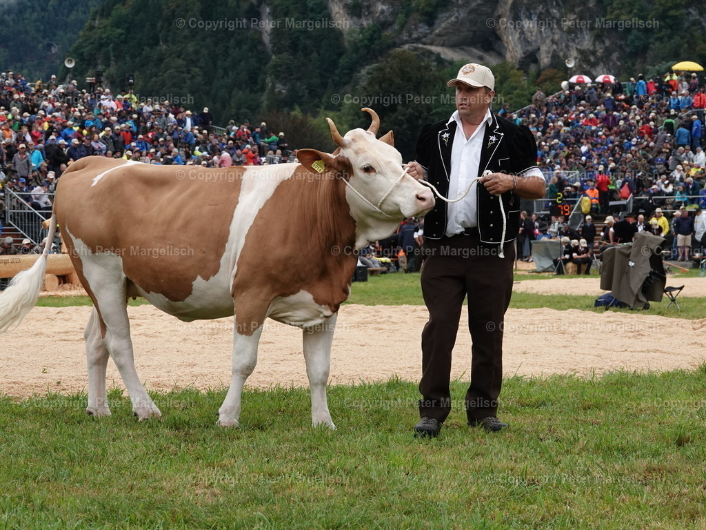 DSC05331 | Schwingen - Realisiert mit Pictrs.com