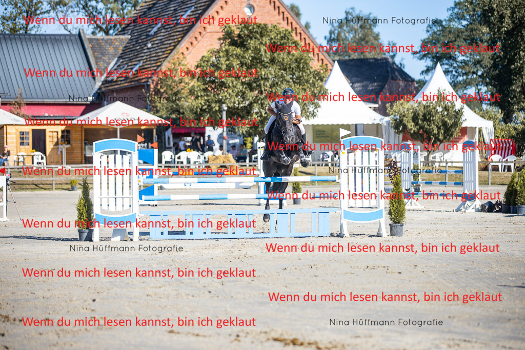 BK1A5997 | Turnierbilder Turnierfotos Nina Hüffmann Turnierfotografie Pferdefotografie Tierzeichnung Haustierzeichnung Pferdezeichnung Hundezeichnung Videograf  - Realisiert mit Pictrs.com