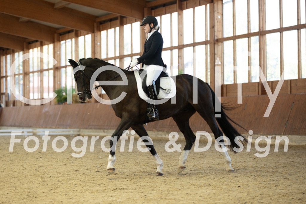 IMG_9027 | Creatify Fotografie