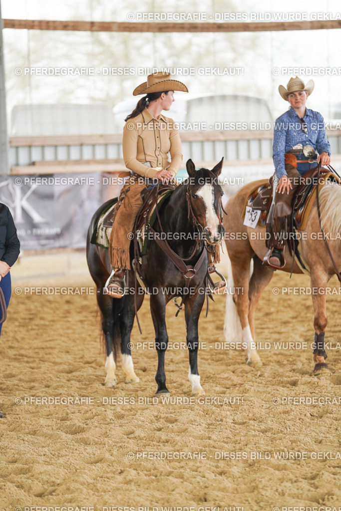 DSC06478 | Pferdegrafie