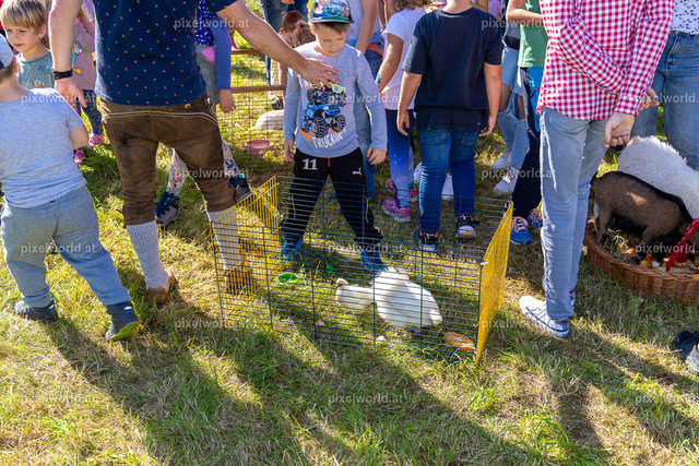 SchaZie Tag | Bildershop von pixelworld.at - Realisiert mit Pictrs.com