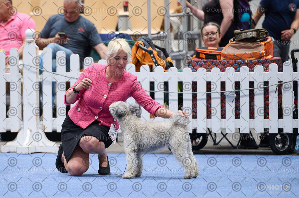 202406_ÖKV-IHA-Tulln24_DSC_2842 | proPHOTO - Realisiert mit Pictrs.com