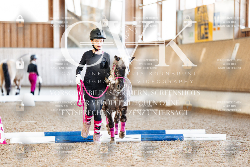 CK905319 | Turnierfotografie Pferdefotografie Trier Rheinland-Pfalz Pferdesport Reitsport Tierfotografie Sportfotografie Pferdevideo Pferdevideografie Equestrianvideography equestrianphotography  - Realisiert mit Pictrs.com
