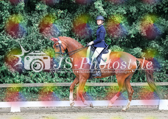 20250726_Dressurprüfung Kl.L Kandare-24 | JS-Photostyle - Sport-/Portrait- & Eventfotografie