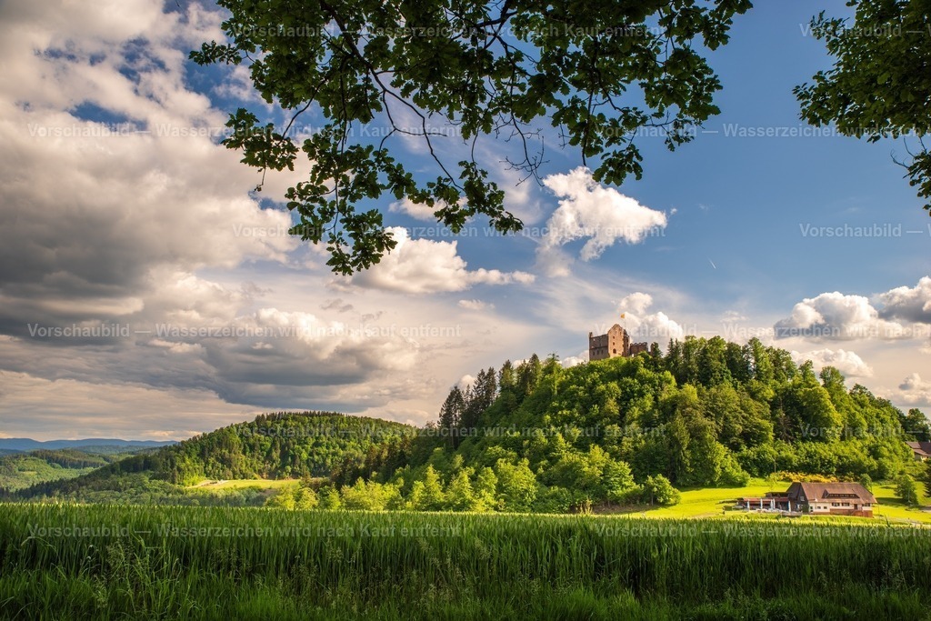 Burgruine Hohengeroldseck | im Schwarzwald bei Lahr - Realisiert mit Pictrs.com
