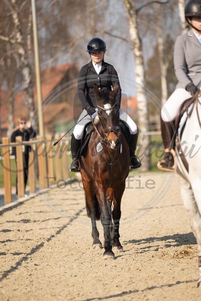 994A9713 | sabrinanicolaifotografie - Realisiert mit Pictrs.com