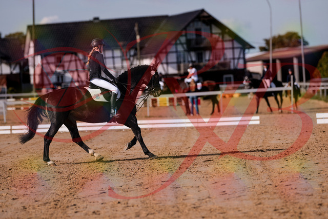 2026_10_03_Siefer-Hof_115615_Z81_96571799 | Professionelle Reitsport-, Turnier- und Eventfotografie von Robert Broda. Galerien mit ausgewählten und bearbeiteten Bildern direkt online ansehen und bestellen.