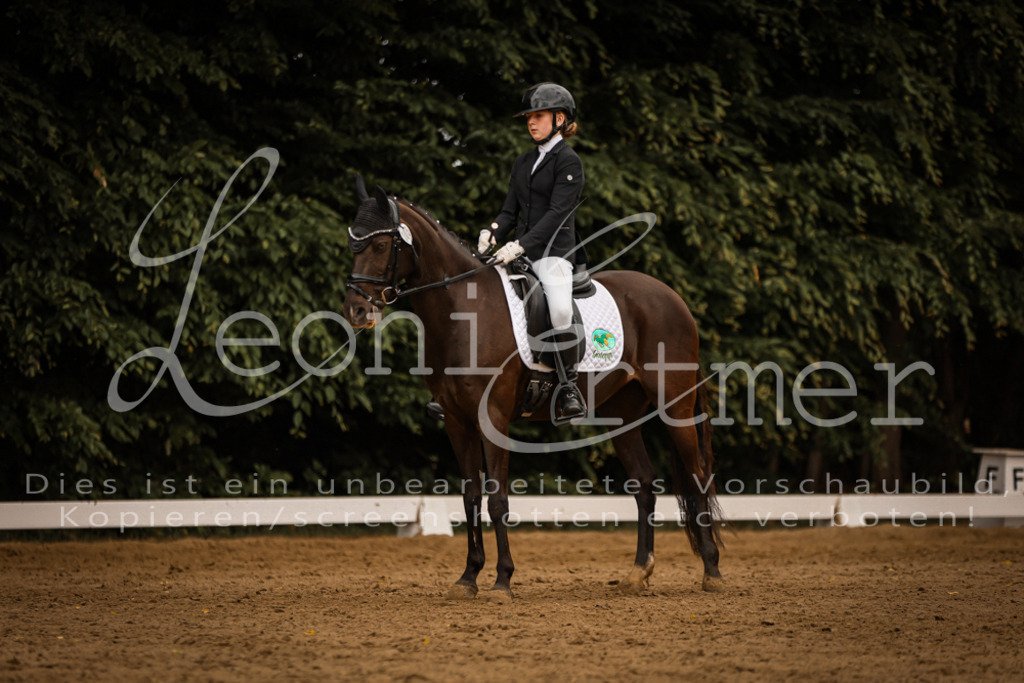 DoDrE00403 | Leoni Ertmer Photography - Realisiert mit Pictrs.com